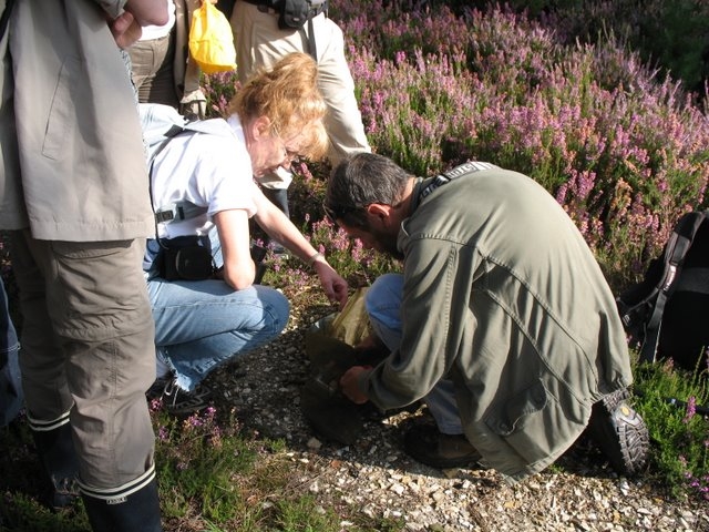 2007 08 Bois de Rochefort 14